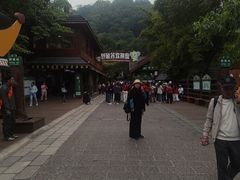 -野象谷景区