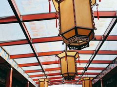-万柳阁小馆·花园餐厅(龙潭湖店)