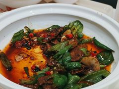 -袁记肉夹馍(北大街店)
