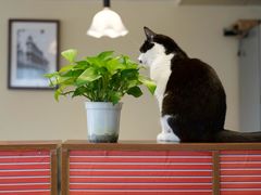 -路易时光(蕴川路店)