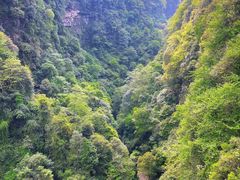 -碧峰峡风景区
