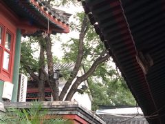 -北京湖广会馆