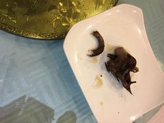 -琬苑鸽庄·川粤融合菜(解放碑总店)