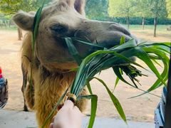 -杭州野生动物世界