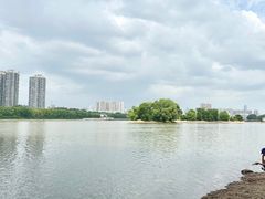 -长白岛森林公园