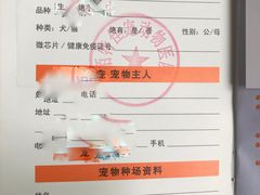 -栢特佳宠宠物医院