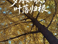-长安寺