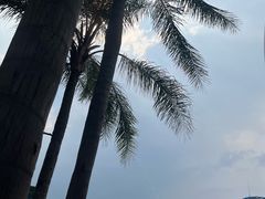 -成都欢乐谷