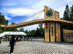 -五营红松林海景区