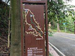 -大屏嶂森林公园