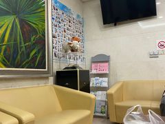 -上海市东方医院(总院)