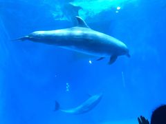 -多彩贵州城极地海洋世界