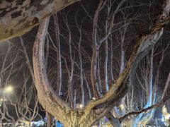 -古都历食南京菜·烤鸭·鸭血粉丝·汤包(南京博物院店)