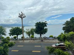 -野菌皇海景野生菌火锅(滨海大道店)