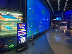 -烟台海昌鲸鲨海洋公园