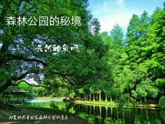 -上海共青森林公园