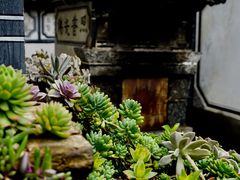-寂照庵