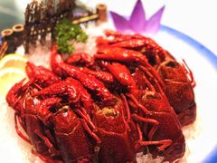 -洪福龙虾