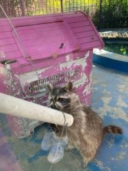 -萌宠亲子动物乐园(槐房万达店)