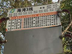 -上海海湾国家森林公园