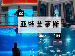 -亚特兰蒂斯水世界冒险乐园