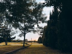 -汉长安城未央宫国家考古遗址公园