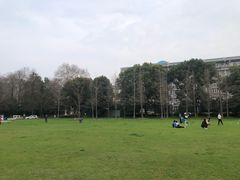 -武汉大学-樱园