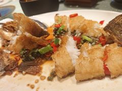 -侨美·唐荔园·40年地道粤菜