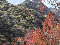 -少华山国家森林公园
