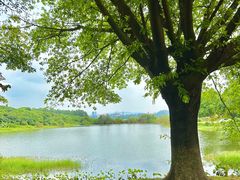 -松山湖风景区松湖烟雨