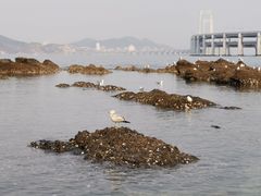 -黑石礁公园
