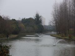 -新江湾城公园