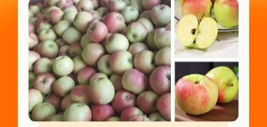 -茶百道(良乡大学城店)