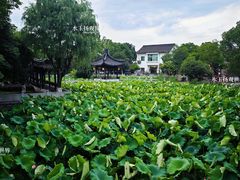 -丝绸小镇荻港古村