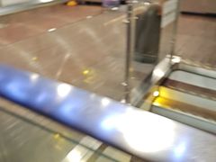 -黄浦江游览快线(金陵东路码头)