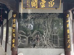 -上海佘山国家森林公园天马山园