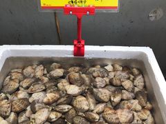 -蚝专家(北滘店)