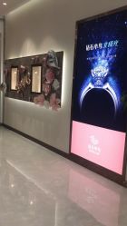 -钻石小鸟钻戒婚戒定制(石路店)