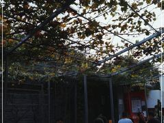 -伊隆斋(什刹海店)