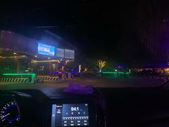 -枫花园汽车电影院(朝阳公园店)