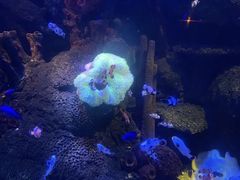 -沈阳海洋探索中心