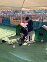 -萌宠亲子动物乐园(槐房万达店)