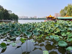 -济南大明湖景区