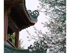 -中山公园