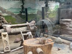 -海合安成都极地海洋公园