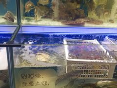 -大润发(国兴店)