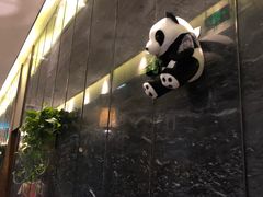 -眉州东坡(北苑华贸店)