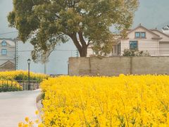 -妈妈菜舟山海鲜(定海古城店)