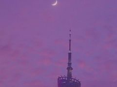 -珠江夜游广州塔·中大码头