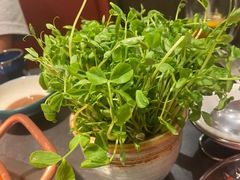 -牛村来人潮汕牛肉火锅(西单店)